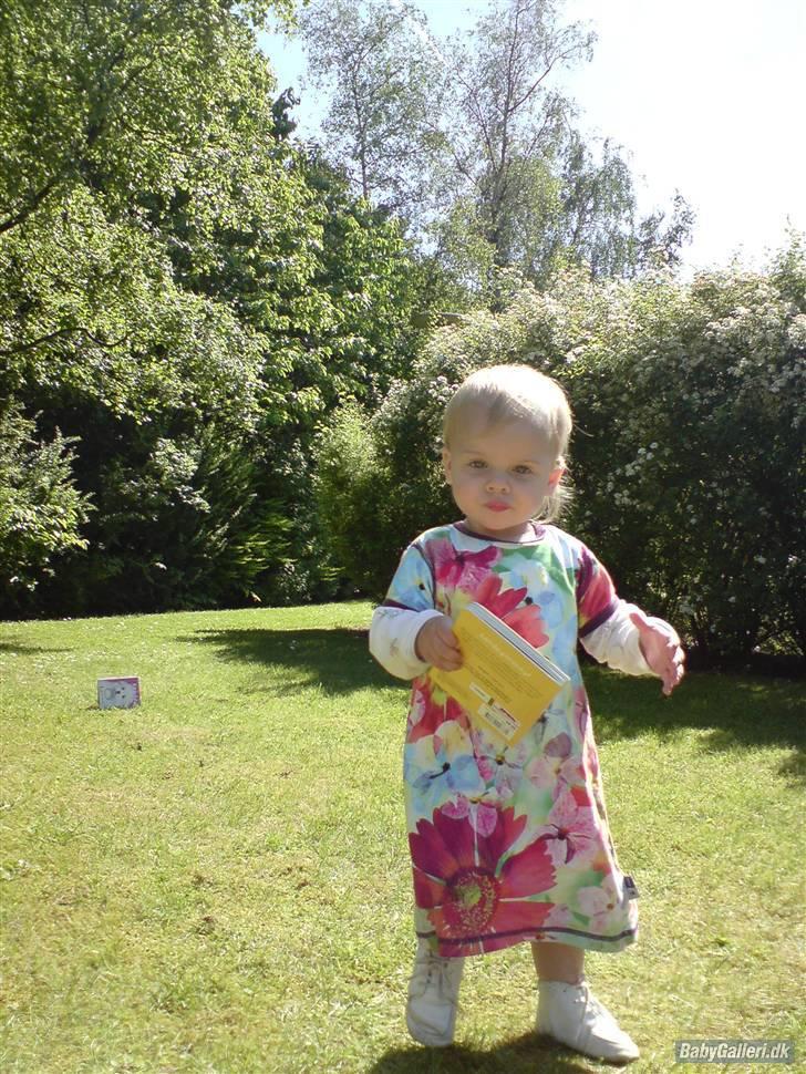 Pige Papaya Athena billede 11