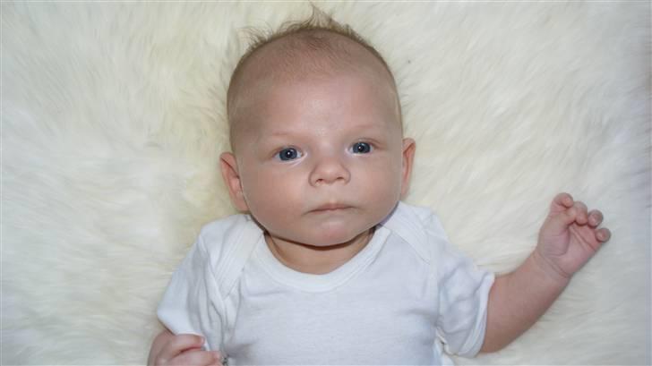 Dreng Lucas Pedersen billede 3