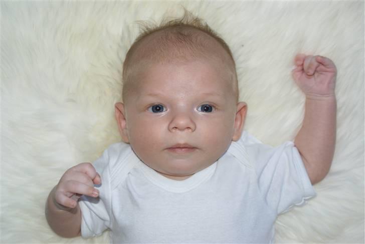 Dreng Lucas Pedersen billede 5