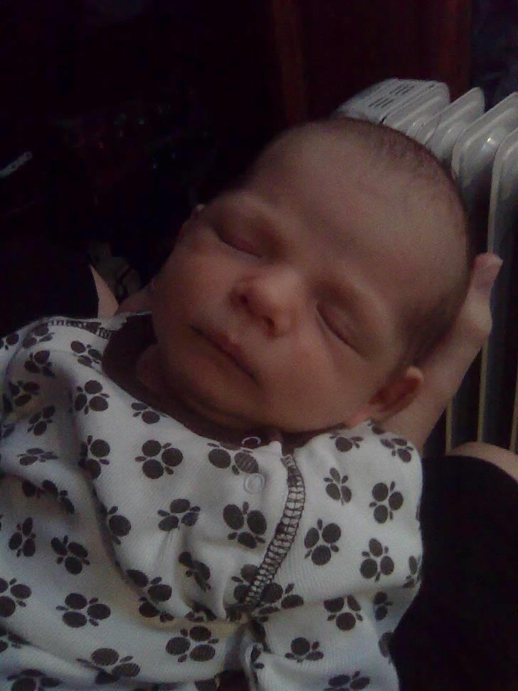 Dreng Lucas Pedersen billede 6