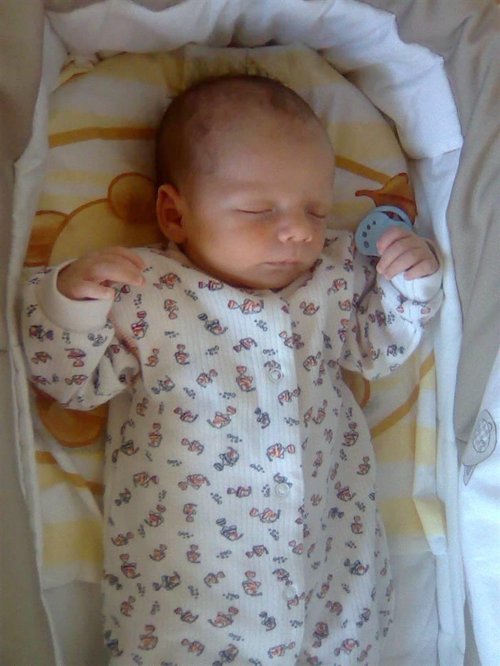 Dreng Lucas Pedersen billede 7