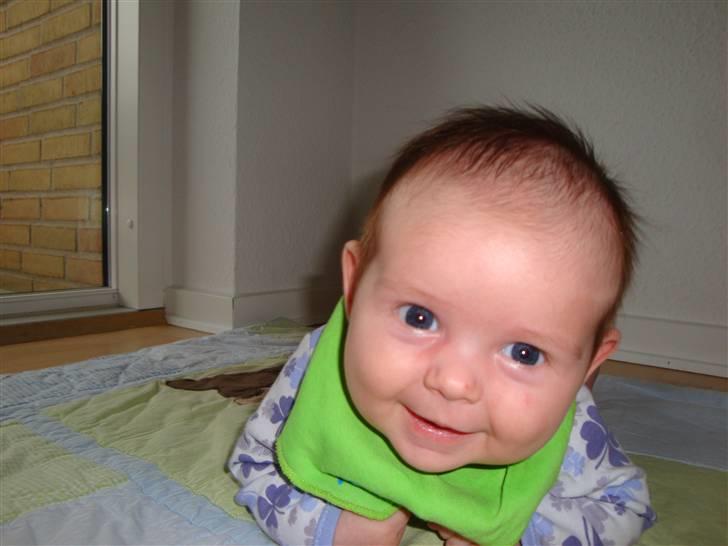Pige Alberte Sofie billede 8