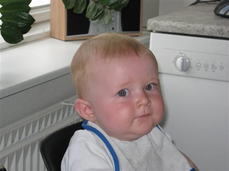 Dreng Dian billede 3