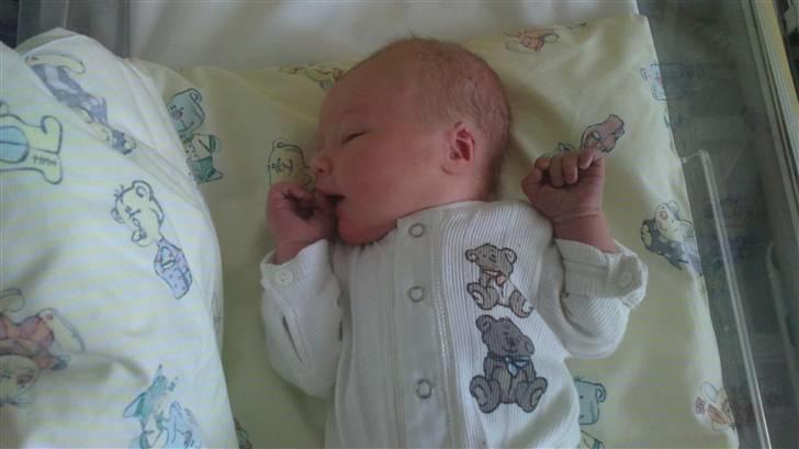 Dreng Kean billede 9