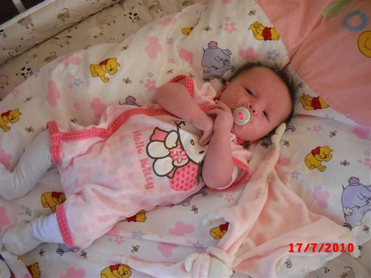 Pige Nikoline *19.06.2010* - 4 uger gammel <3 billede 6