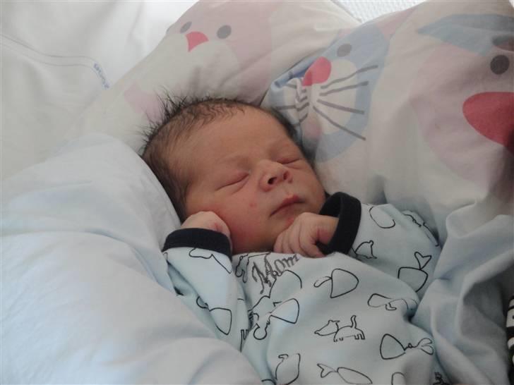 Dreng Jannick Linus - 1 dag gammel i sin første body:-D billede 2
