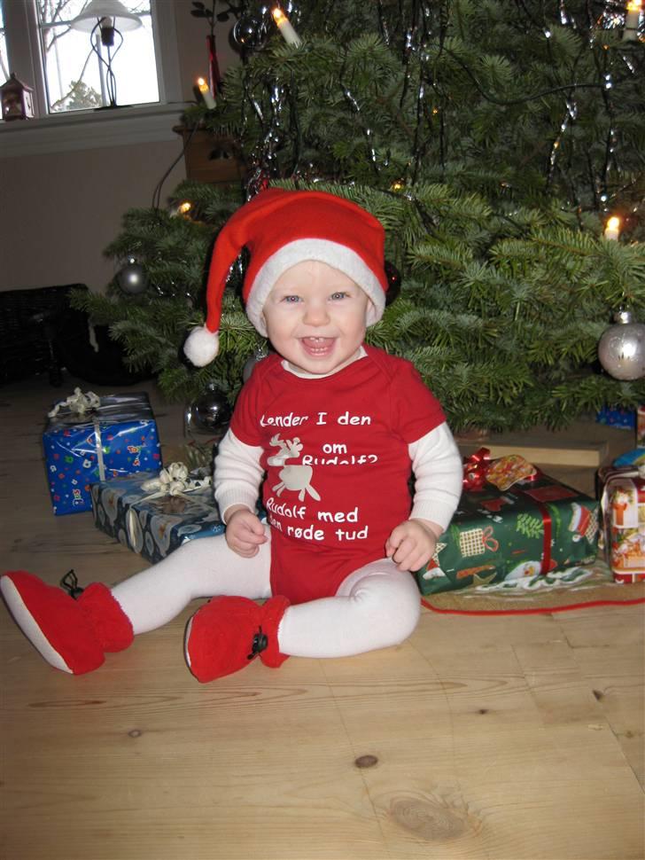 Pige Sofie - Sofies første jul billede 3