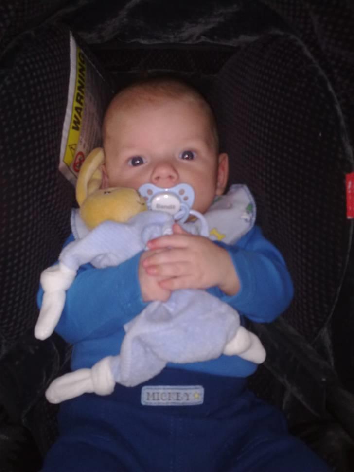Dreng Lucas Pedersen billede 12