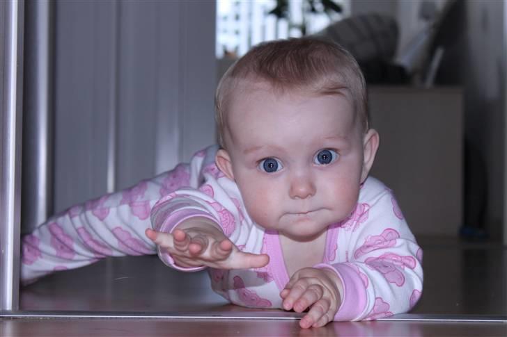 Pige Cecilie Lilje billede 15