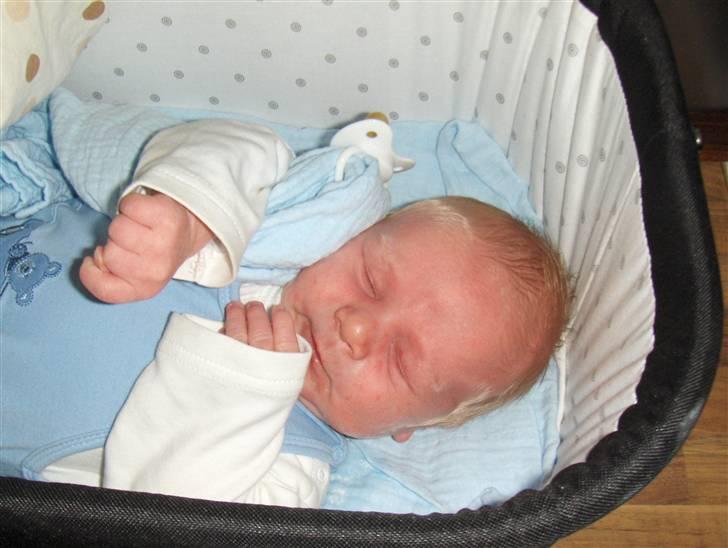 Dreng Zean billede 2