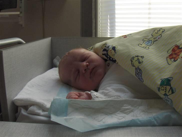 Dreng Zean billede 3