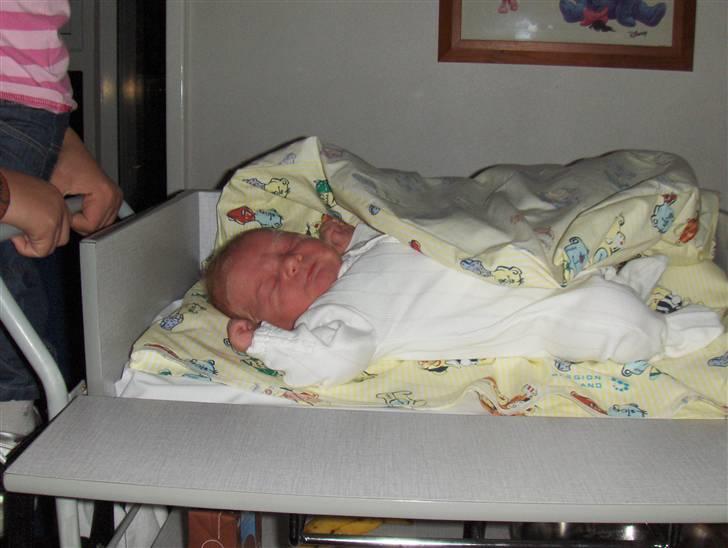 Dreng Zean billede 4