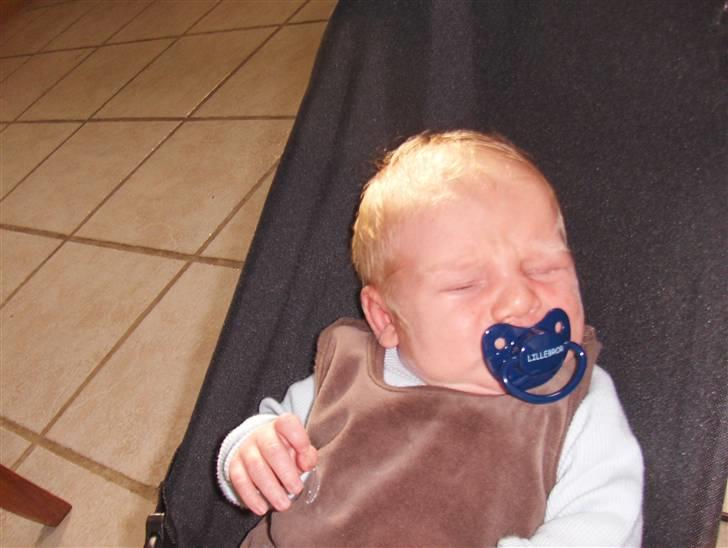 Dreng Zean billede 5