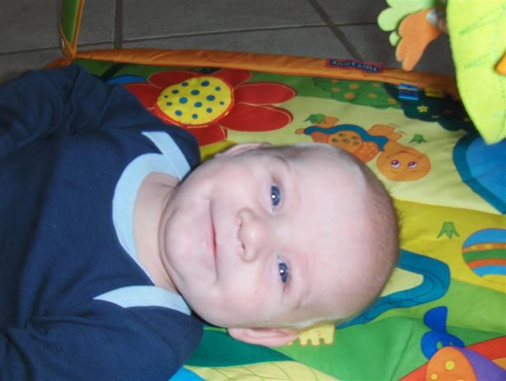 Dreng Zean billede 8