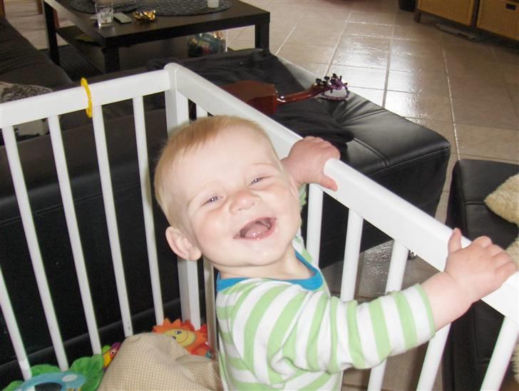 Dreng Zean billede 14