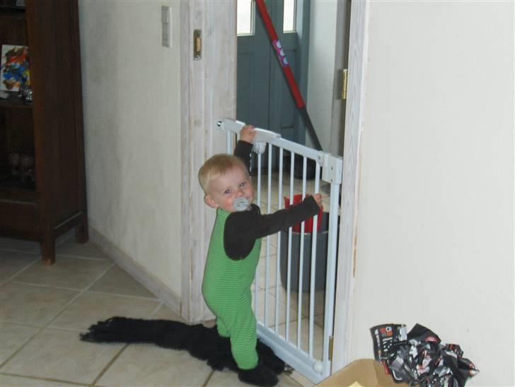 Dreng Zean billede 15