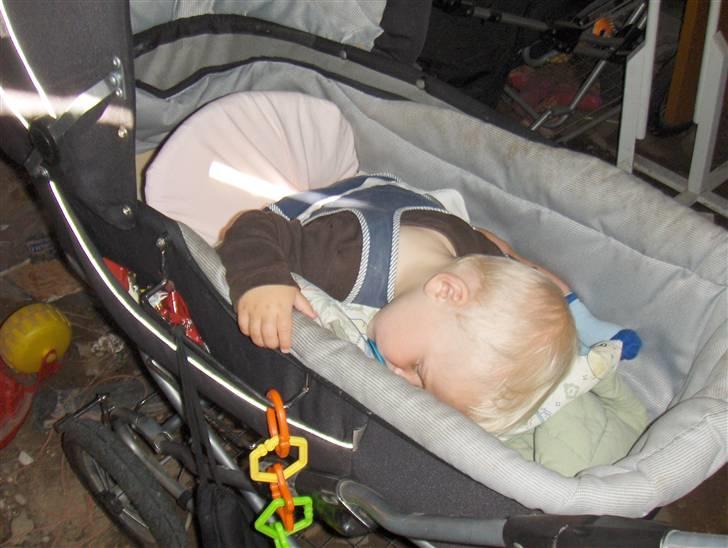 Dreng Zean billede 20