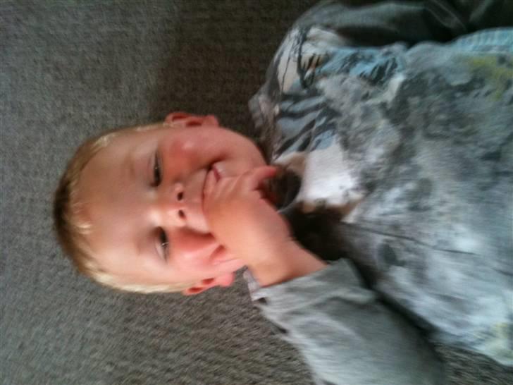 Dreng nick billede 17