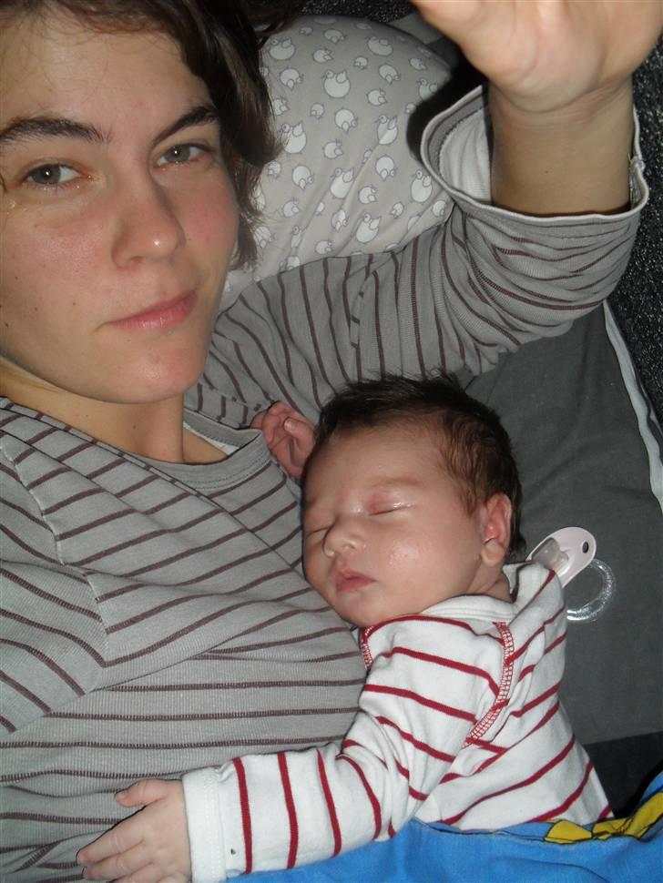 Pige Anna-Lucia billede 12