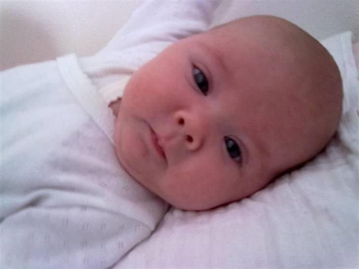 Pige Amalie Theodora billede 3