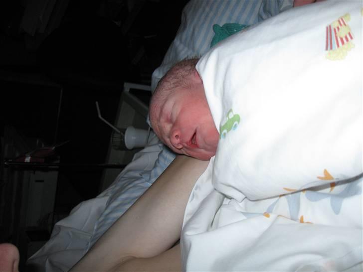 Dreng Nicolai billede 2