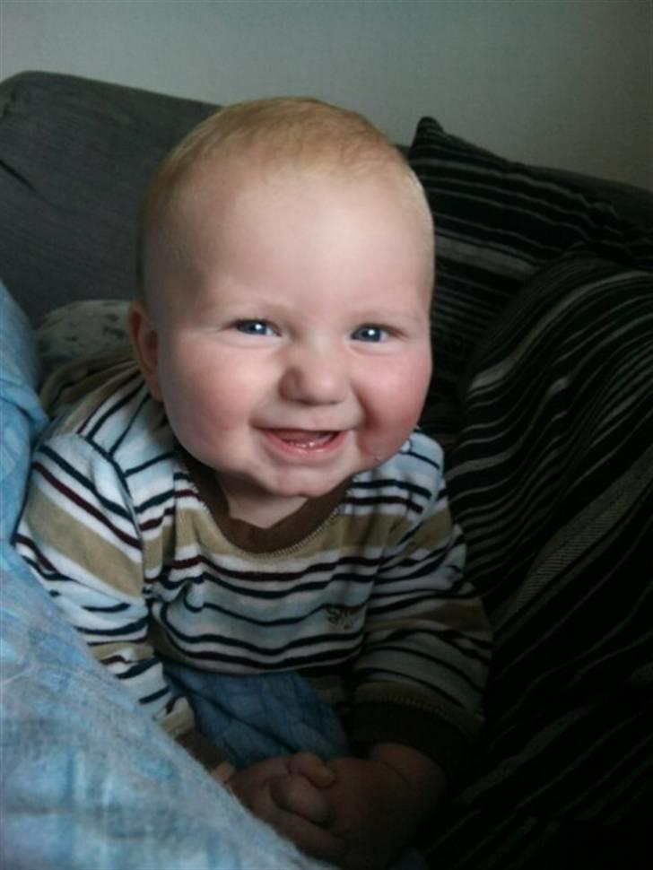 Dreng Malthe - Vores charmetrold :D <3 billede 8