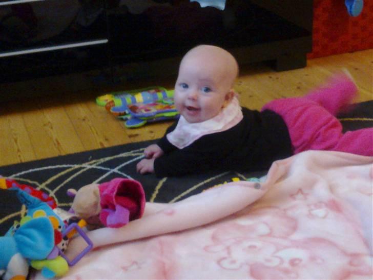 Pige Astrid Elvira billede 7