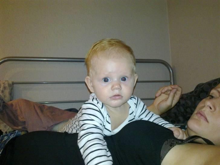 Pige Sasha - 4 måneder billede 10