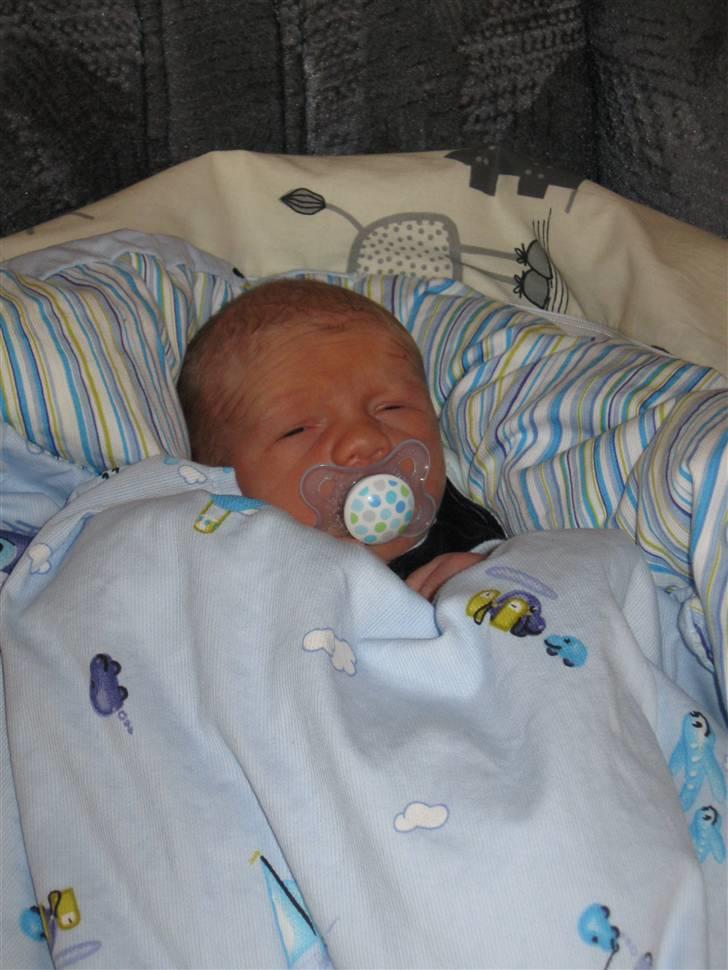 Dreng Nicolai billede 5