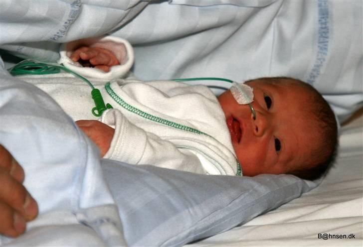 Dreng Malik billede 7