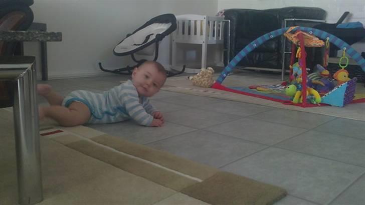 Dreng Malik billede 12