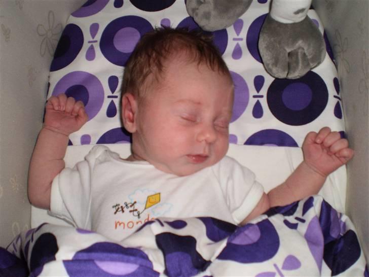 Pige Rebecca Denice Henriksen billede 1
