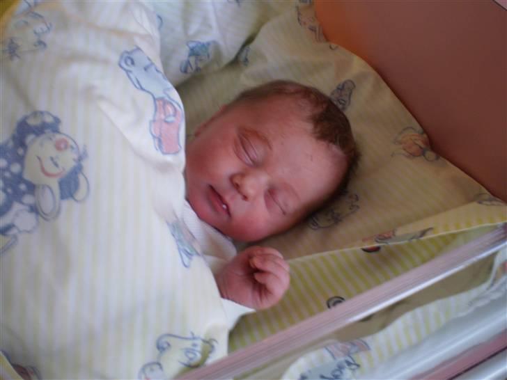 Pige Rebecca Denice Henriksen billede 2