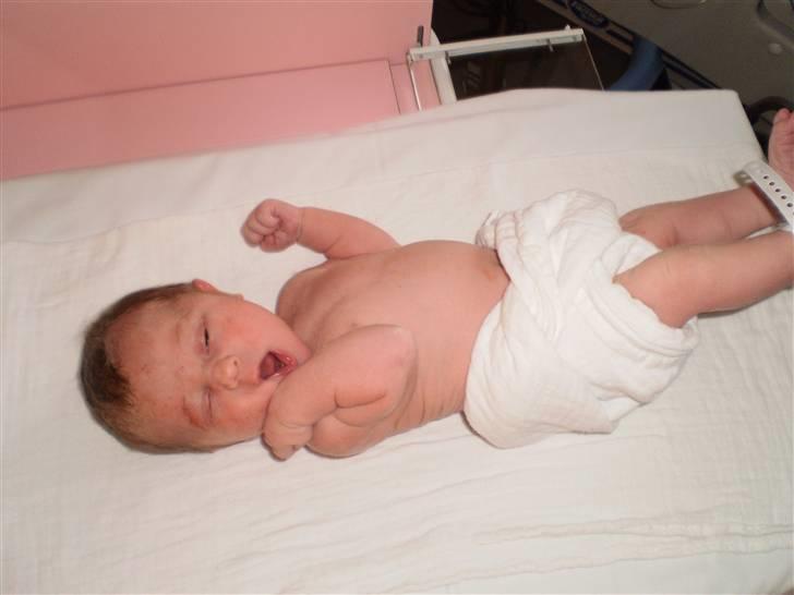 Pige Rebecca Denice Henriksen billede 3