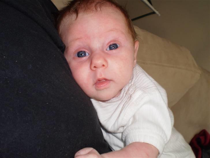Pige Rebecca Denice Henriksen billede 4