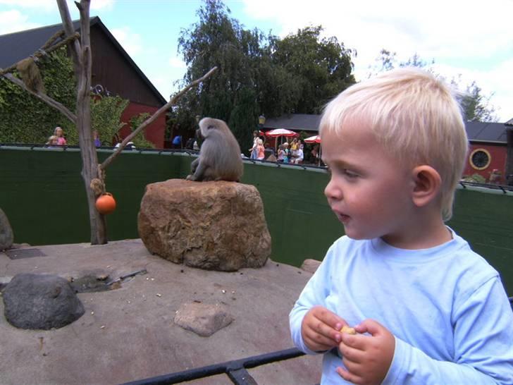 Dreng Jannik billede 12