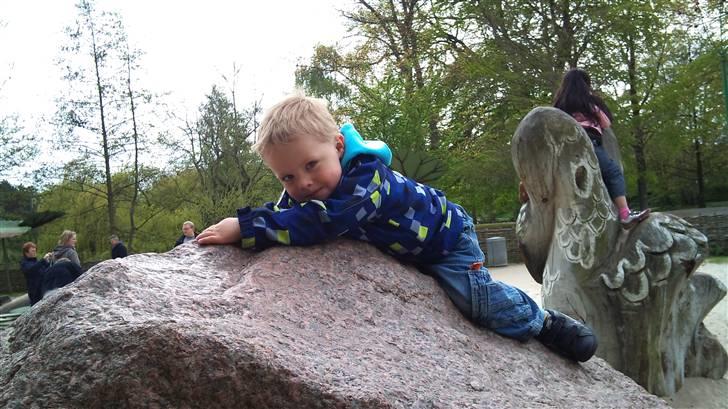 Dreng Alex  billede 16