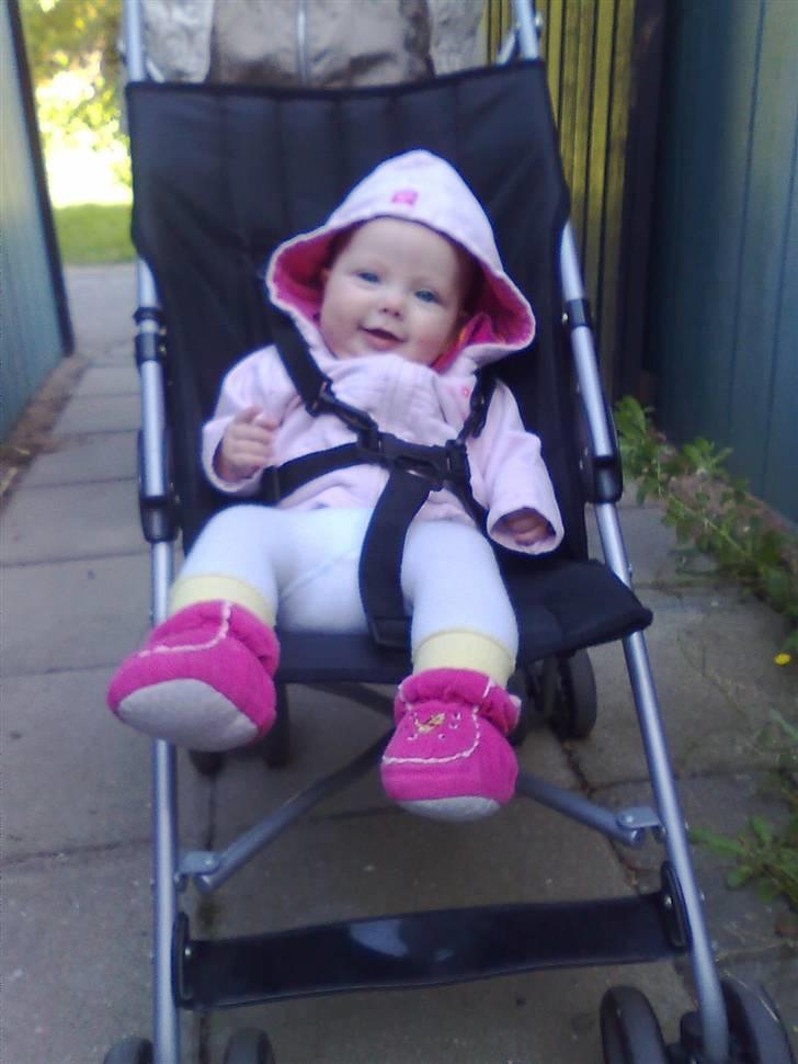 Pige Astrid Elvira billede 10