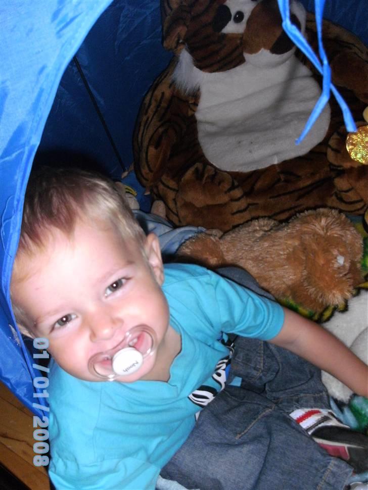 Dreng Noah billede 8