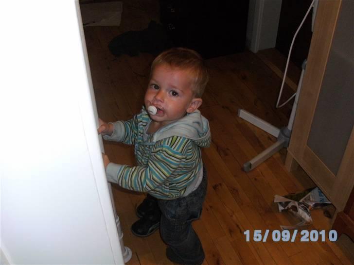 Dreng Noah billede 9