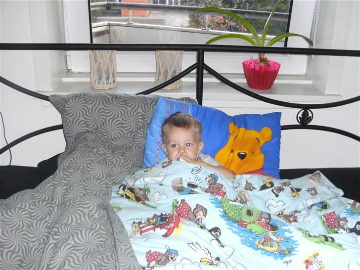 Dreng Noah billede 10