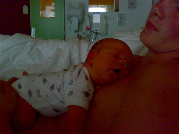 Dreng Malthe Thorsø Sørensen - Hængetræ på far ;b billede 3