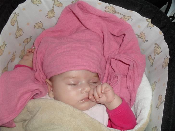 Pige Anna-Lucia billede 17