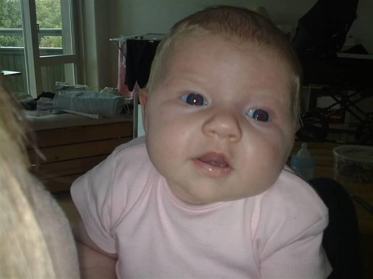 Pige Amalie billede 2