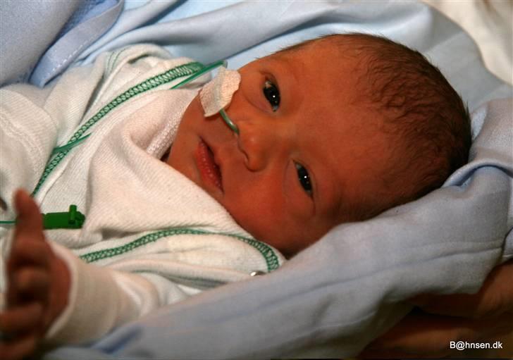 Dreng Malik - jeg kan godt se dig billede 17