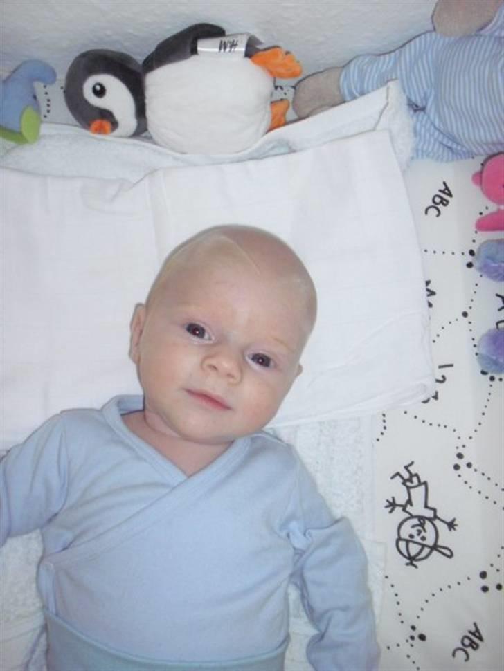 Dreng Kian Fjeldsted Hansen billede 1