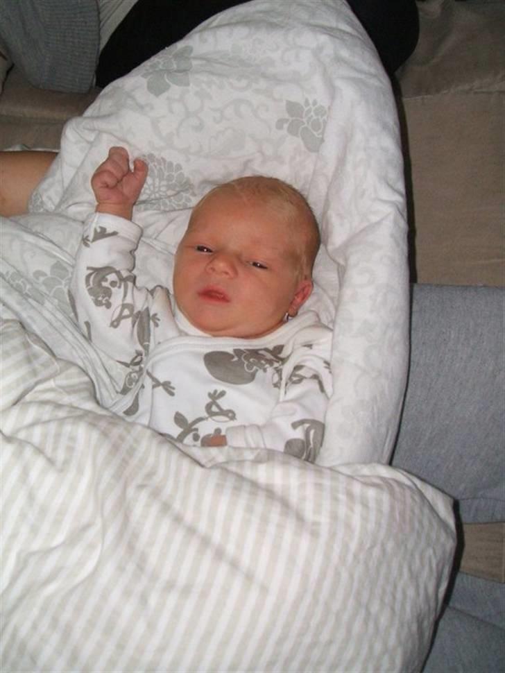 Dreng Kian Fjeldsted Hansen billede 6