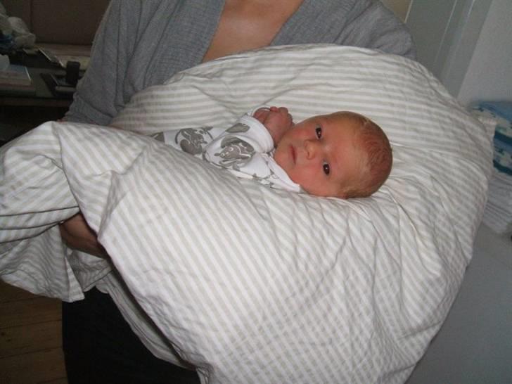 Dreng Kian Fjeldsted Hansen billede 8