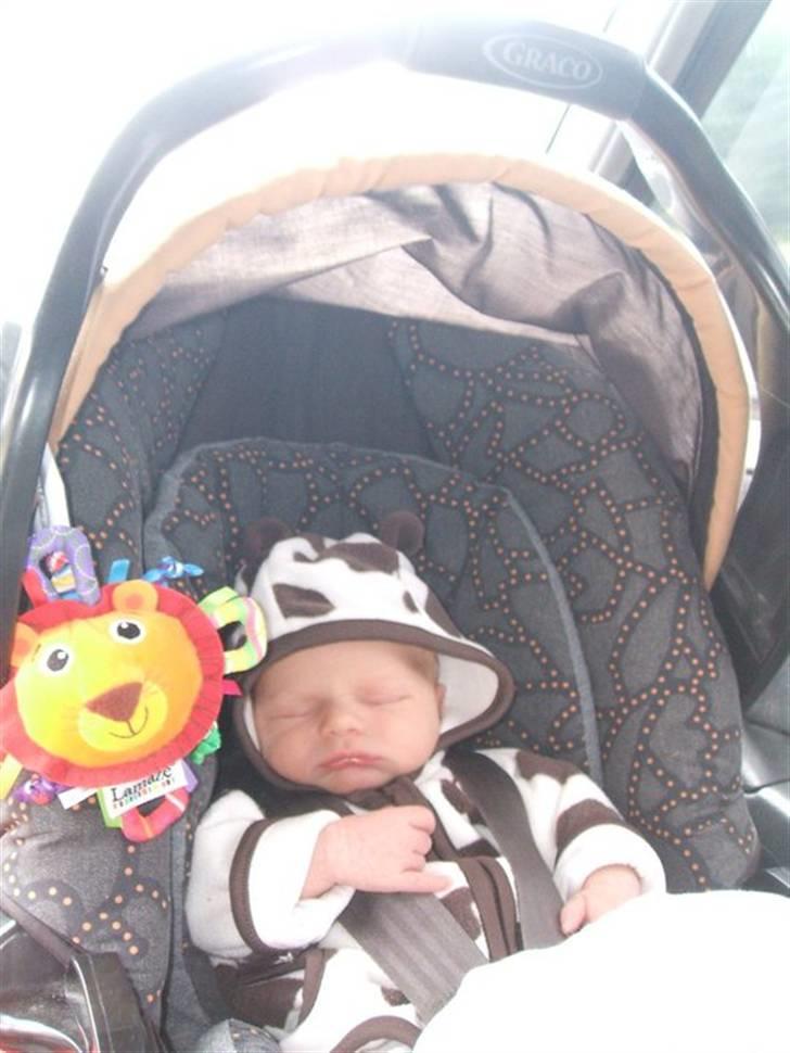 Dreng Kian Fjeldsted Hansen billede 9