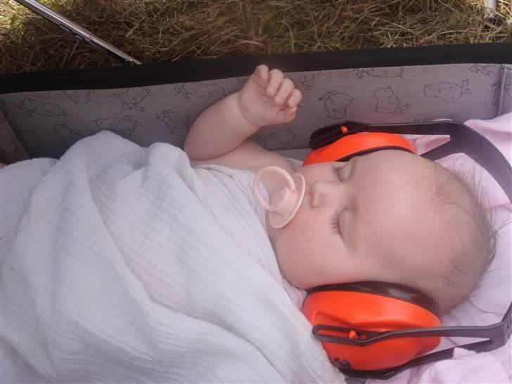 Pige Simone - til traktortræk med farmand 3 måneder gammel billede 7